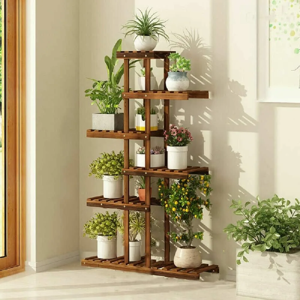 Houseplants